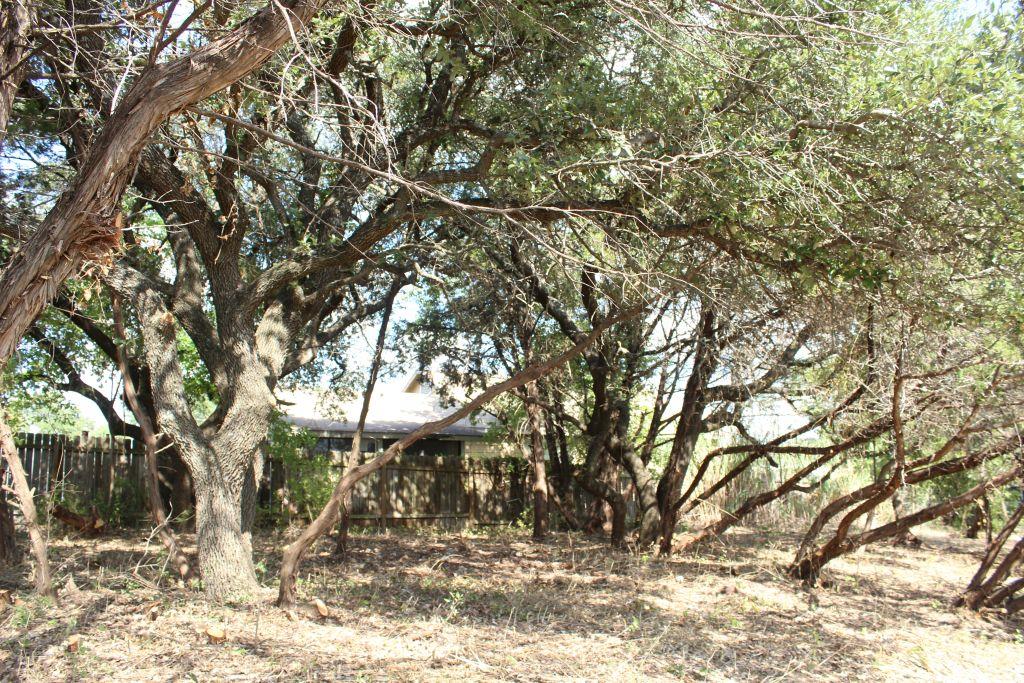 11502 Bee Street Jonestown TX 78645