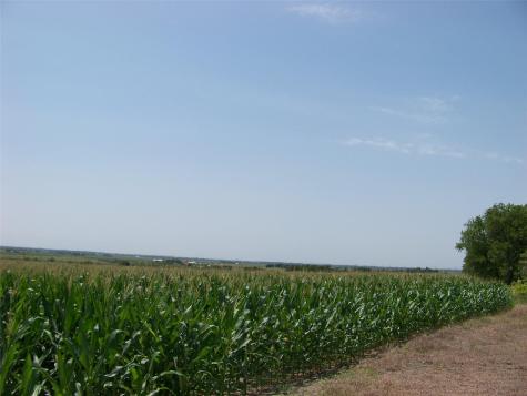 10650 Fm 971 Road Granger TX 76530
