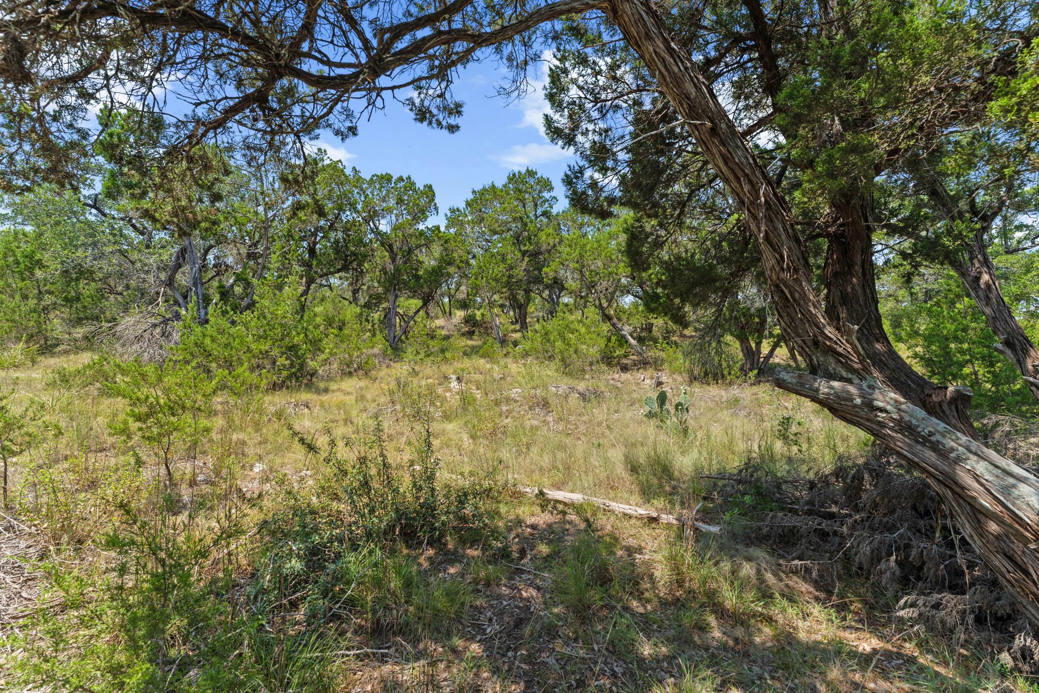 7B Broadwing Cove Austin TX 78737