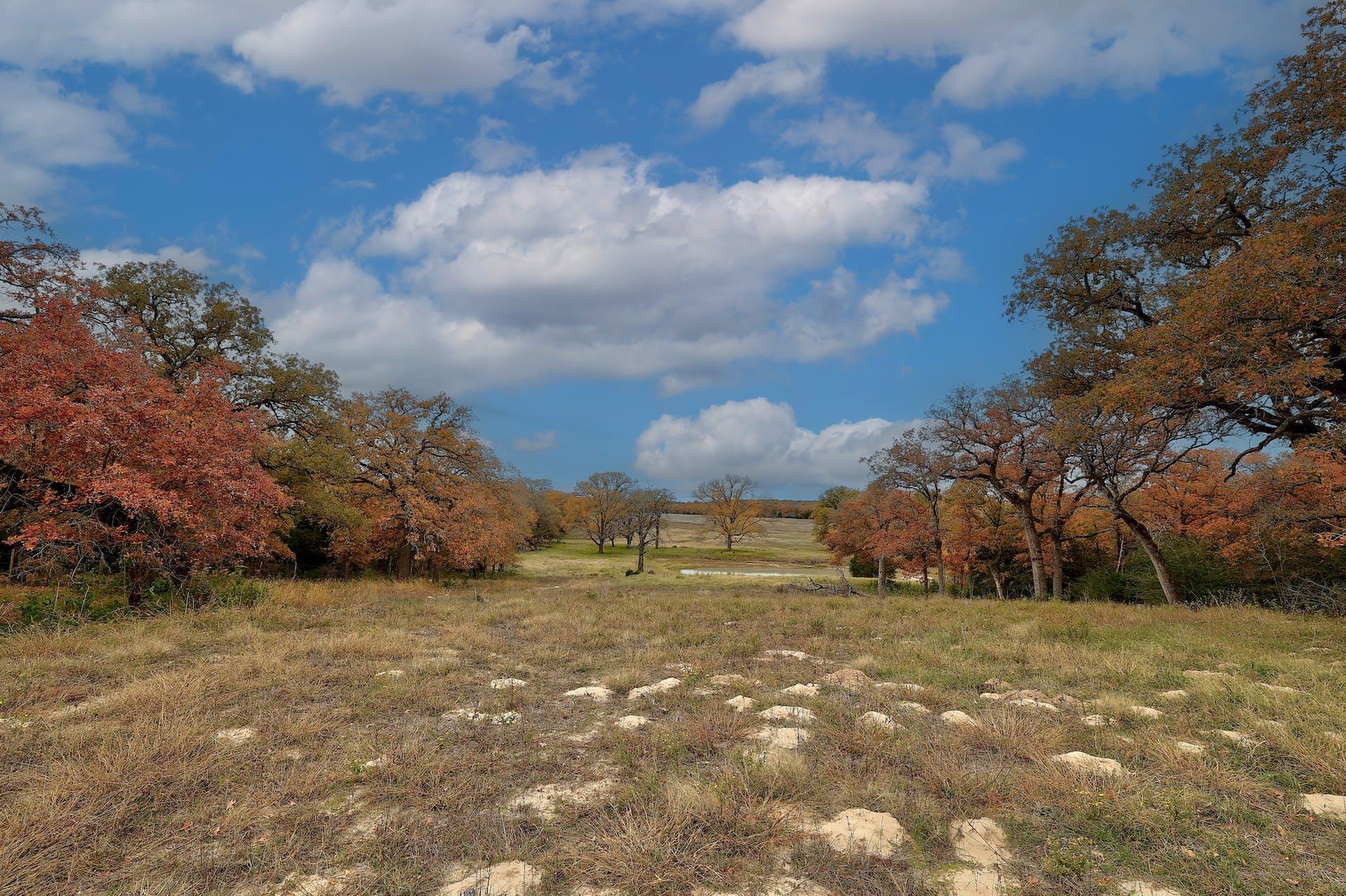 1563 County Road 312 Road Thrall TX 76578