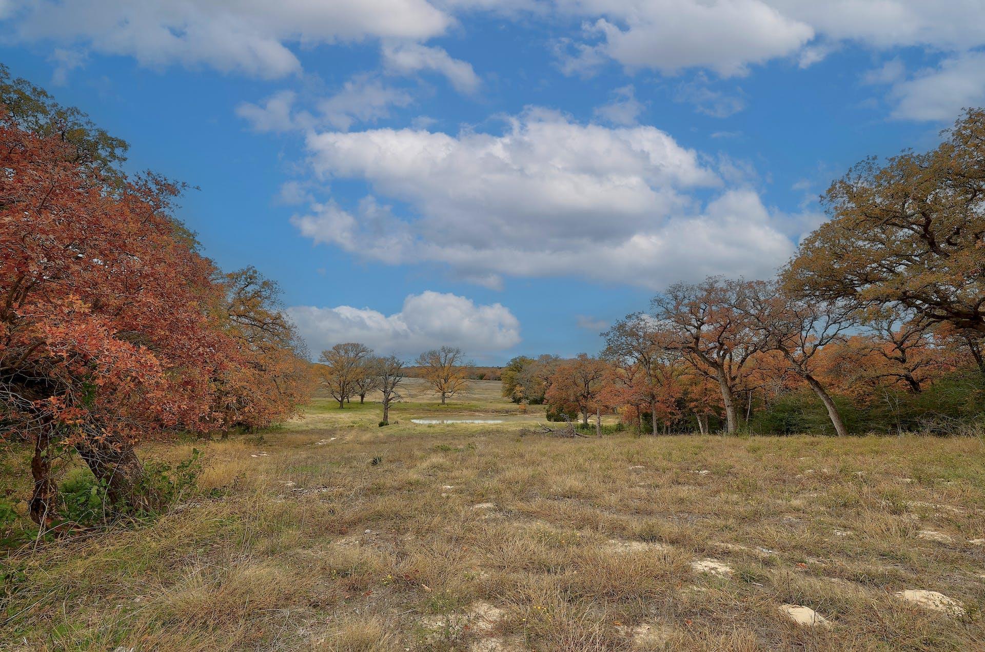 1563 County Road 312 Road Thrall TX 76578