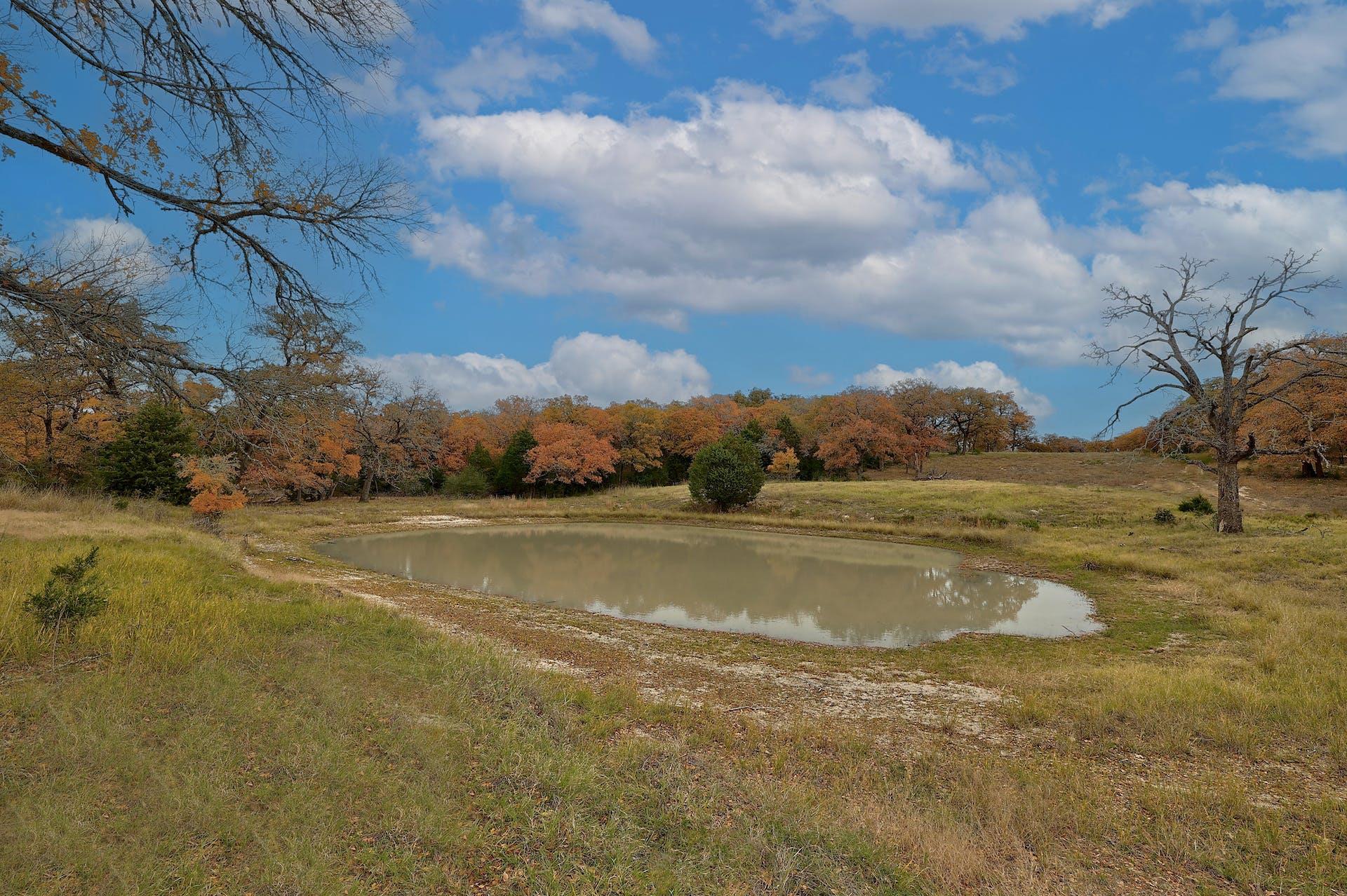1563 County Road 312 Road Thrall TX 76578