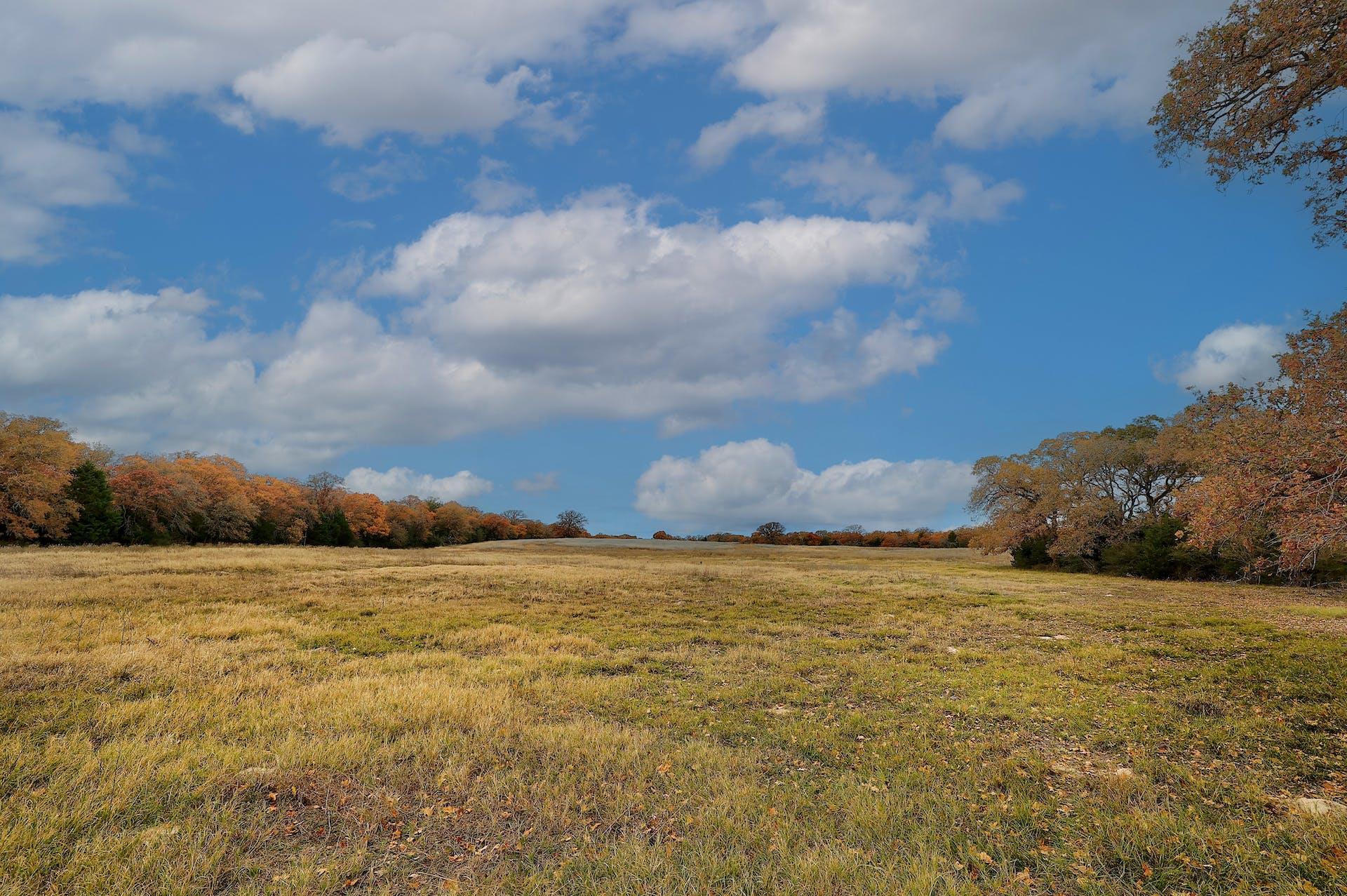 1563 County Road 312 Road Thrall TX 76578