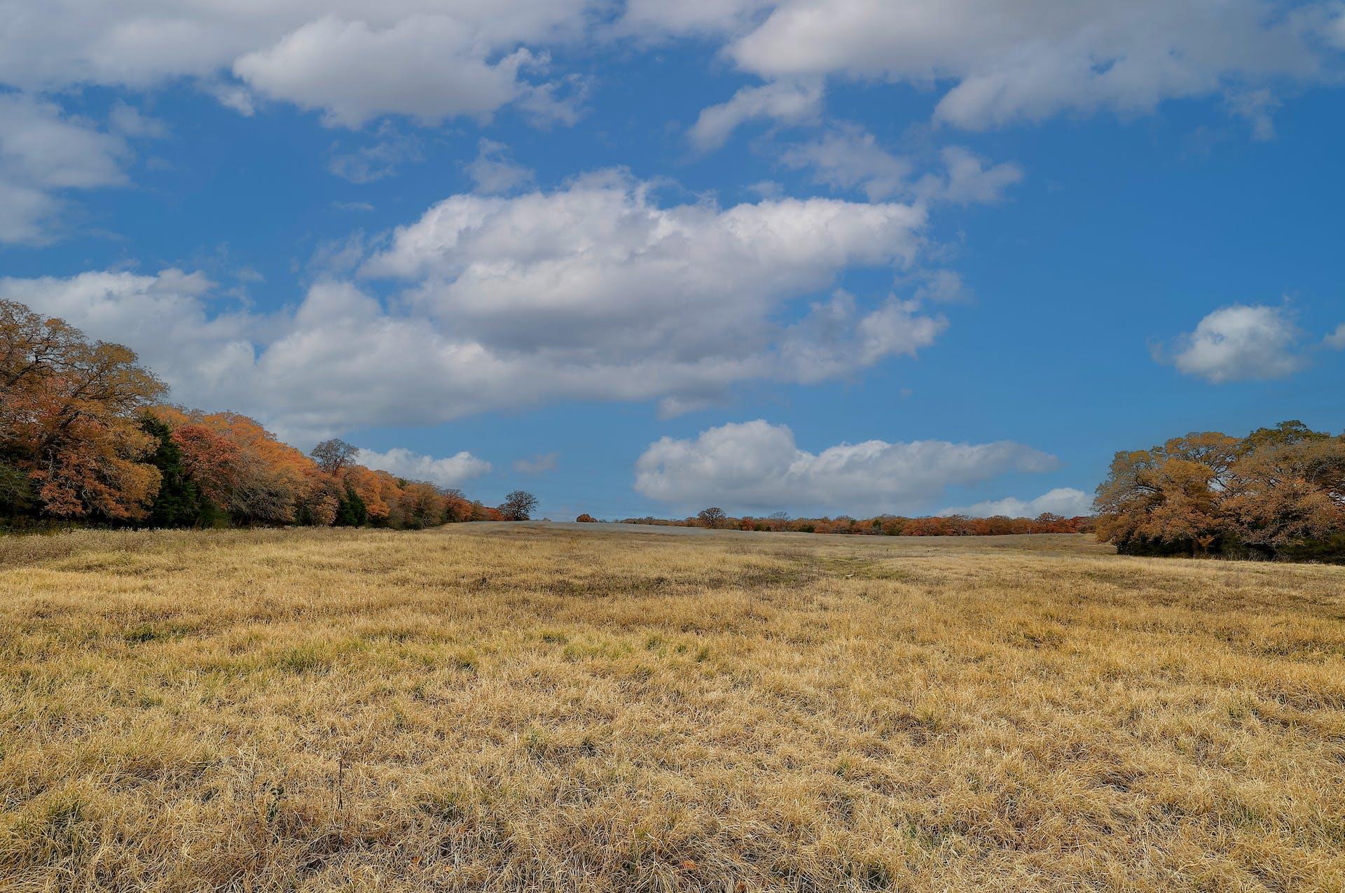 1563 County Road 312 Road Thrall TX 76578