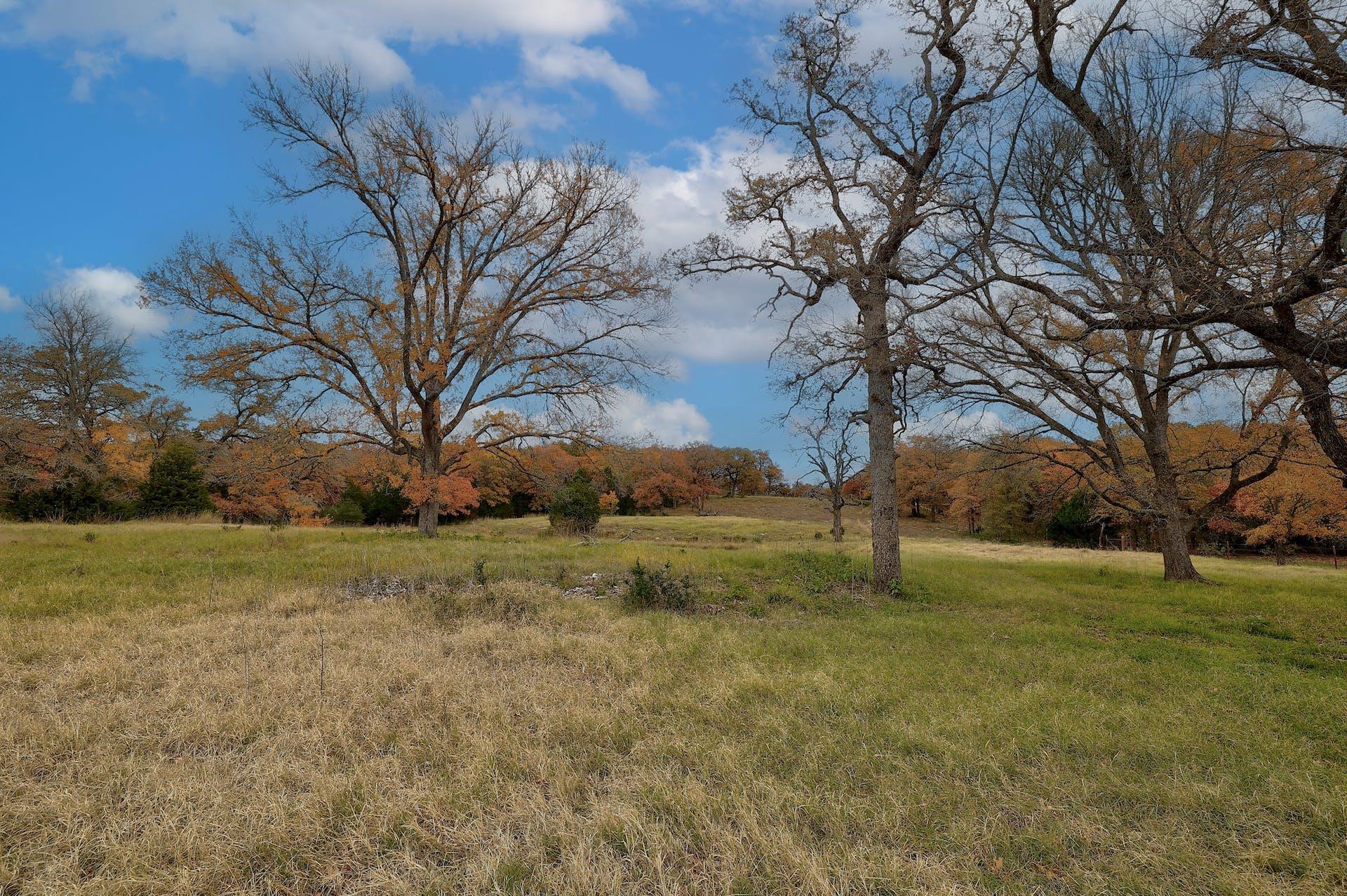 1563 County Road 312 Road Thrall TX 76578