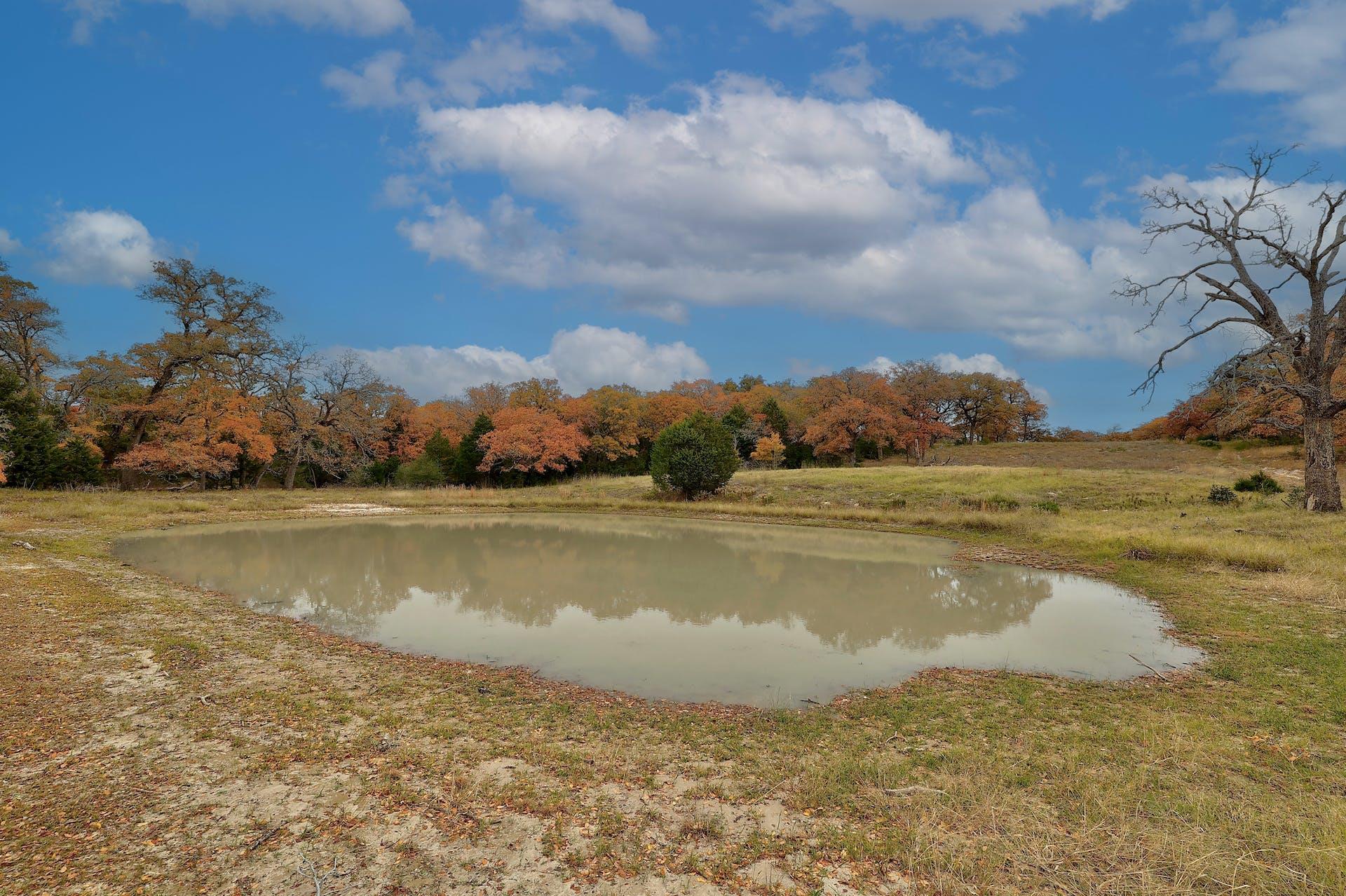 1563 County Road 312 Road Thrall TX 76578