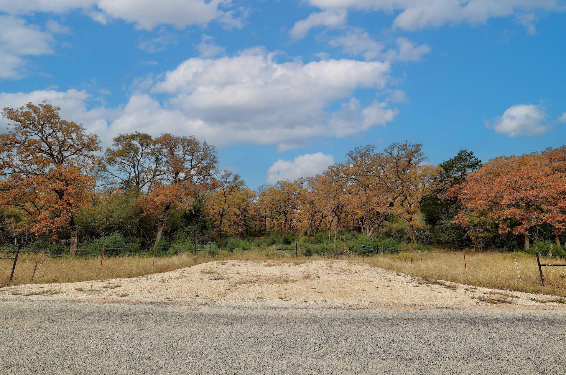 1563 County Road 312 Road Thrall TX 76578