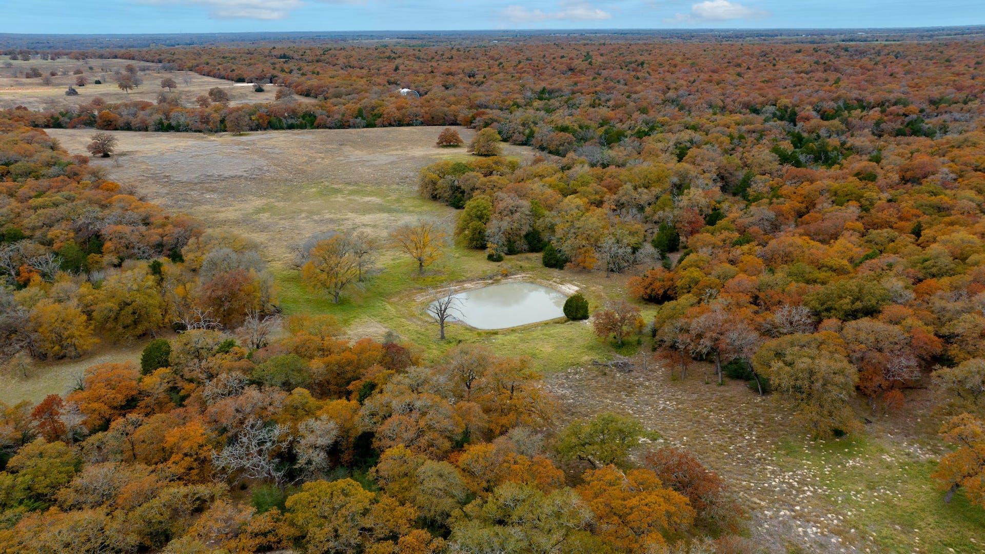1563 County Road 312 Road Thrall TX 76578