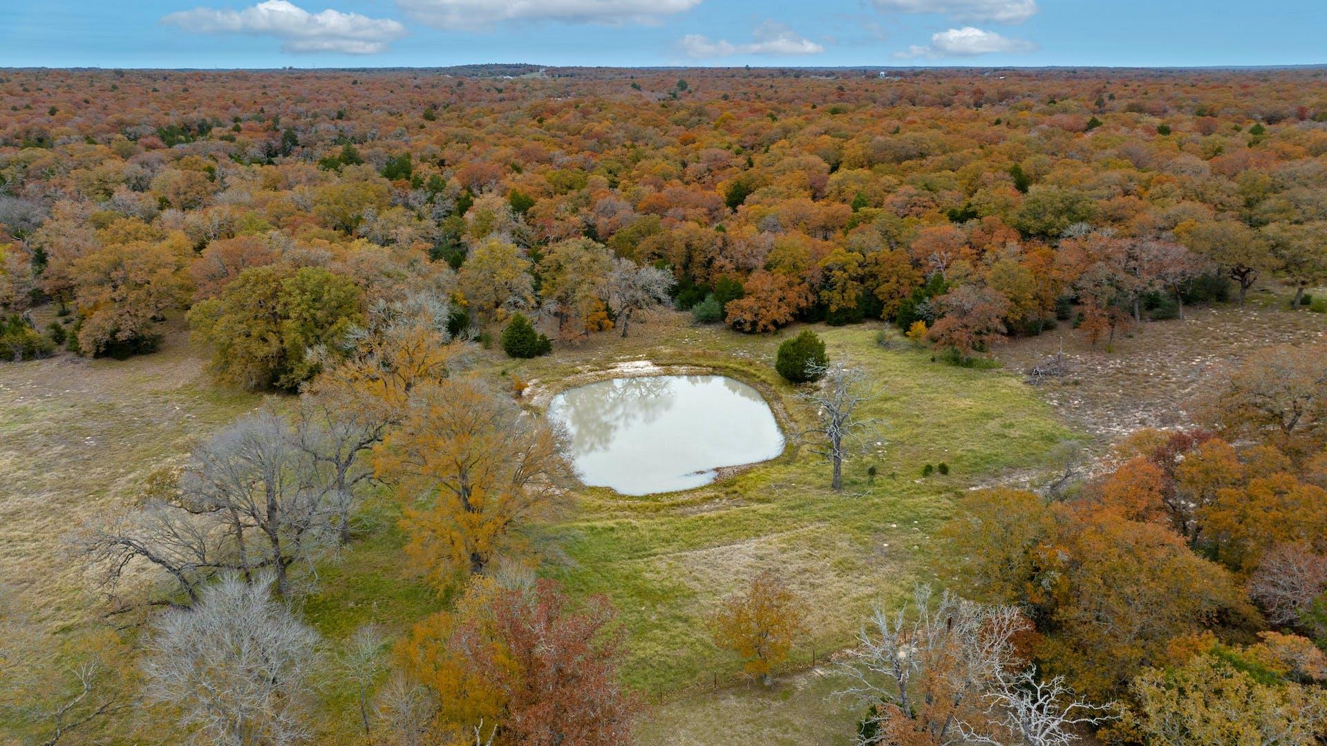 1563 County Road 312 Road Thrall TX 76578