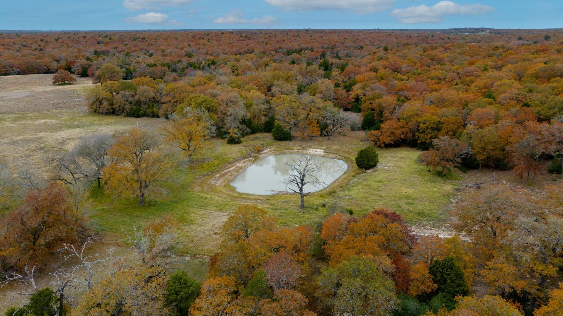 1563 County Road 312 Road Thrall TX 76578