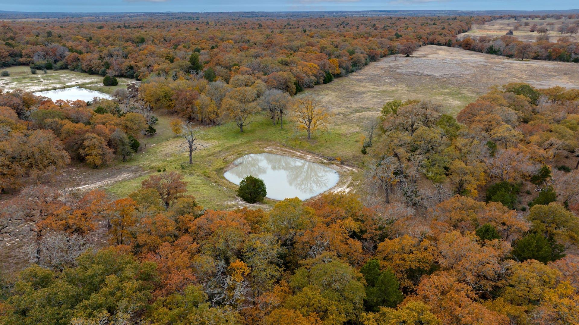 1563 County Road 312 Road Thrall TX 76578