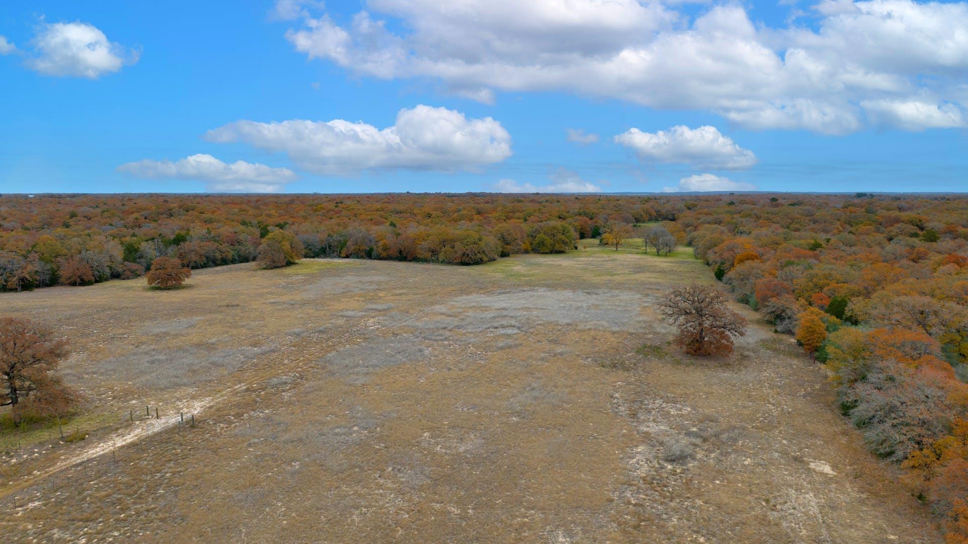 1563 County Road 312 Road Thrall TX 76578