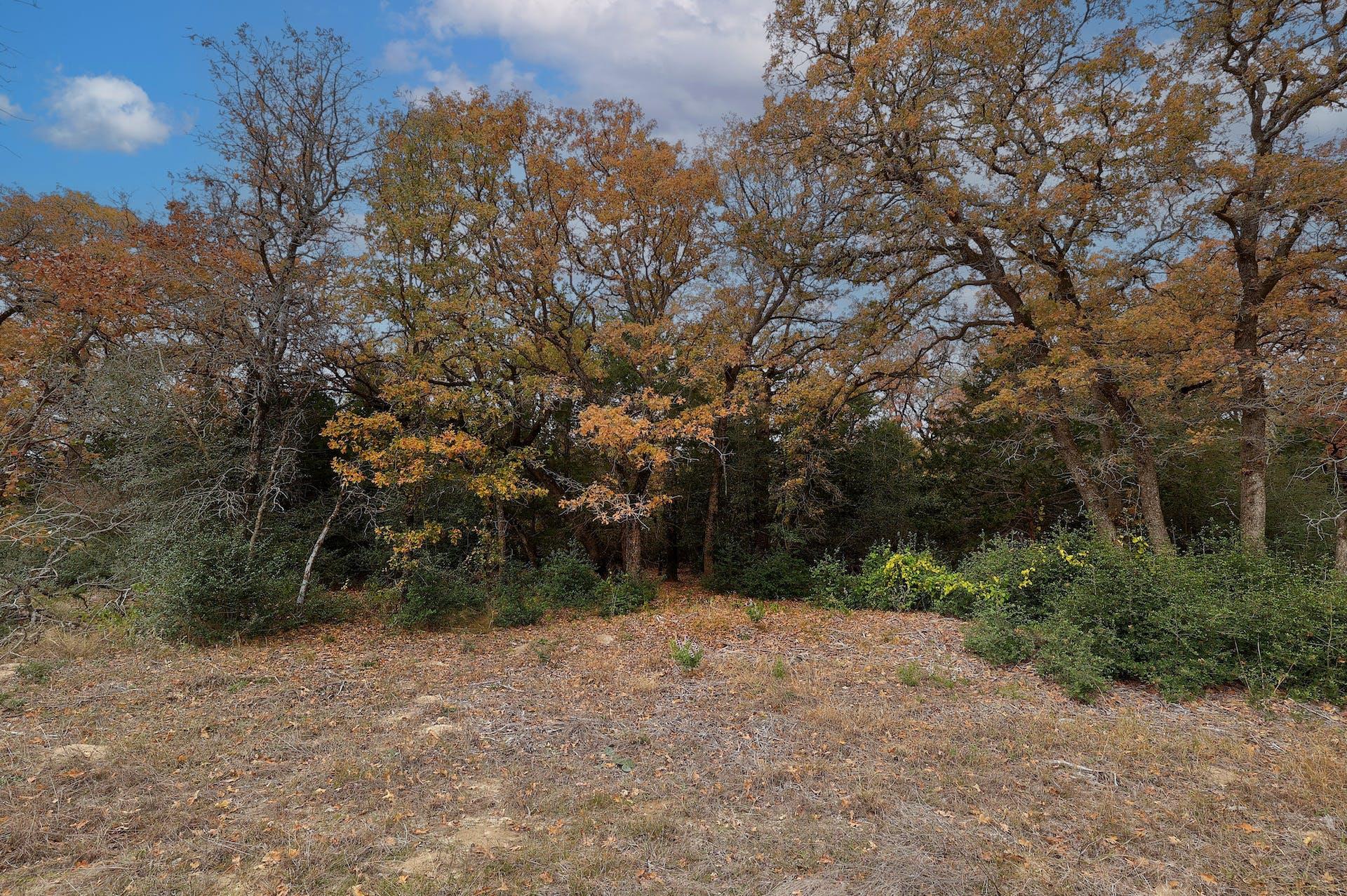 1563 County Road 312 Road Thrall TX 76578