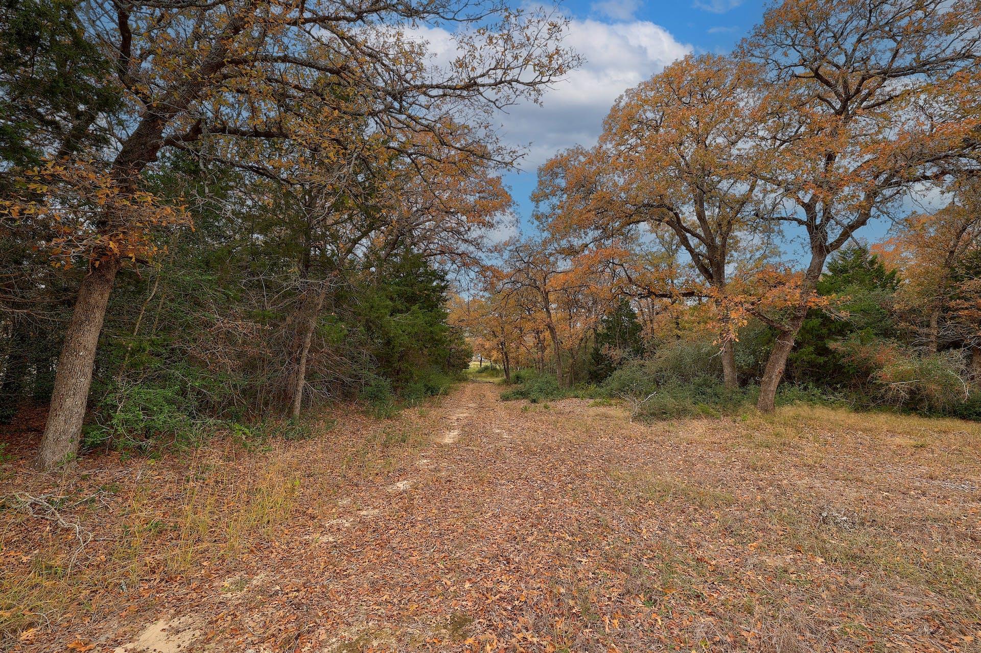 1563 County Road 312 Road Thrall TX 76578