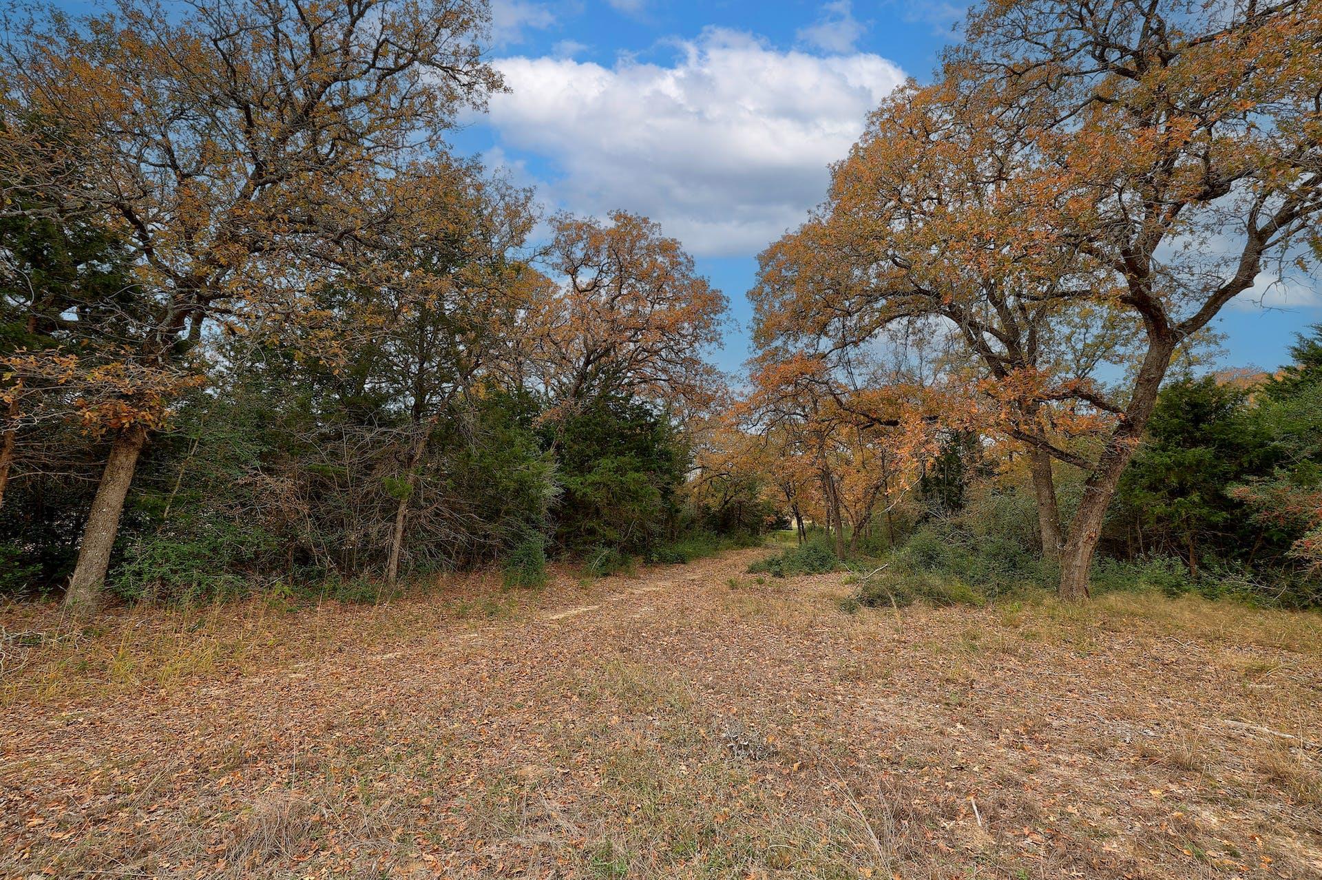 1563 County Road 312 Road Thrall TX 76578