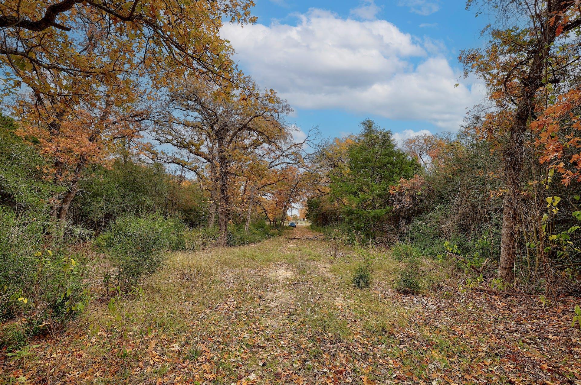 1563 County Road 312 Road Thrall TX 76578