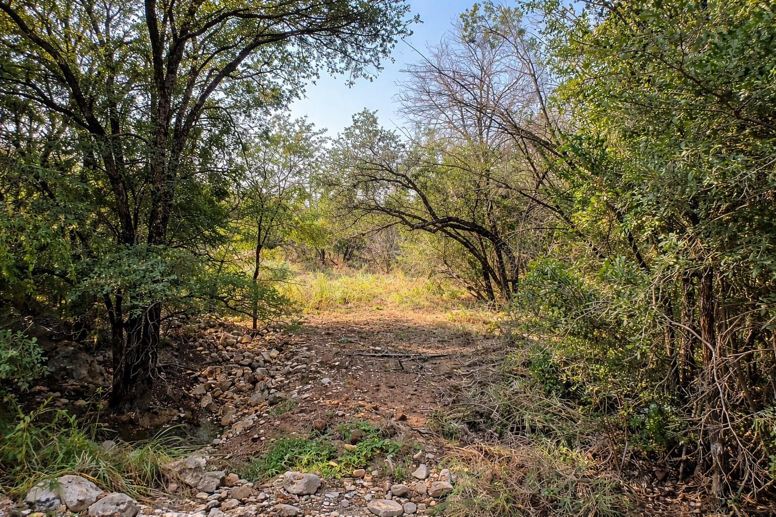 Lot 282 Breezing Lane Spicewood TX 78669