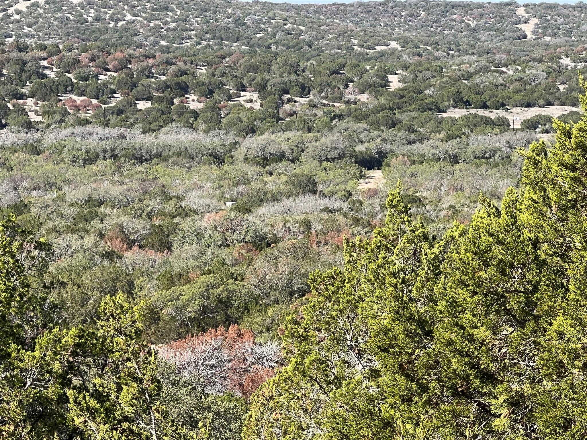Tbd County Road 450 Rocksprings TX 78880