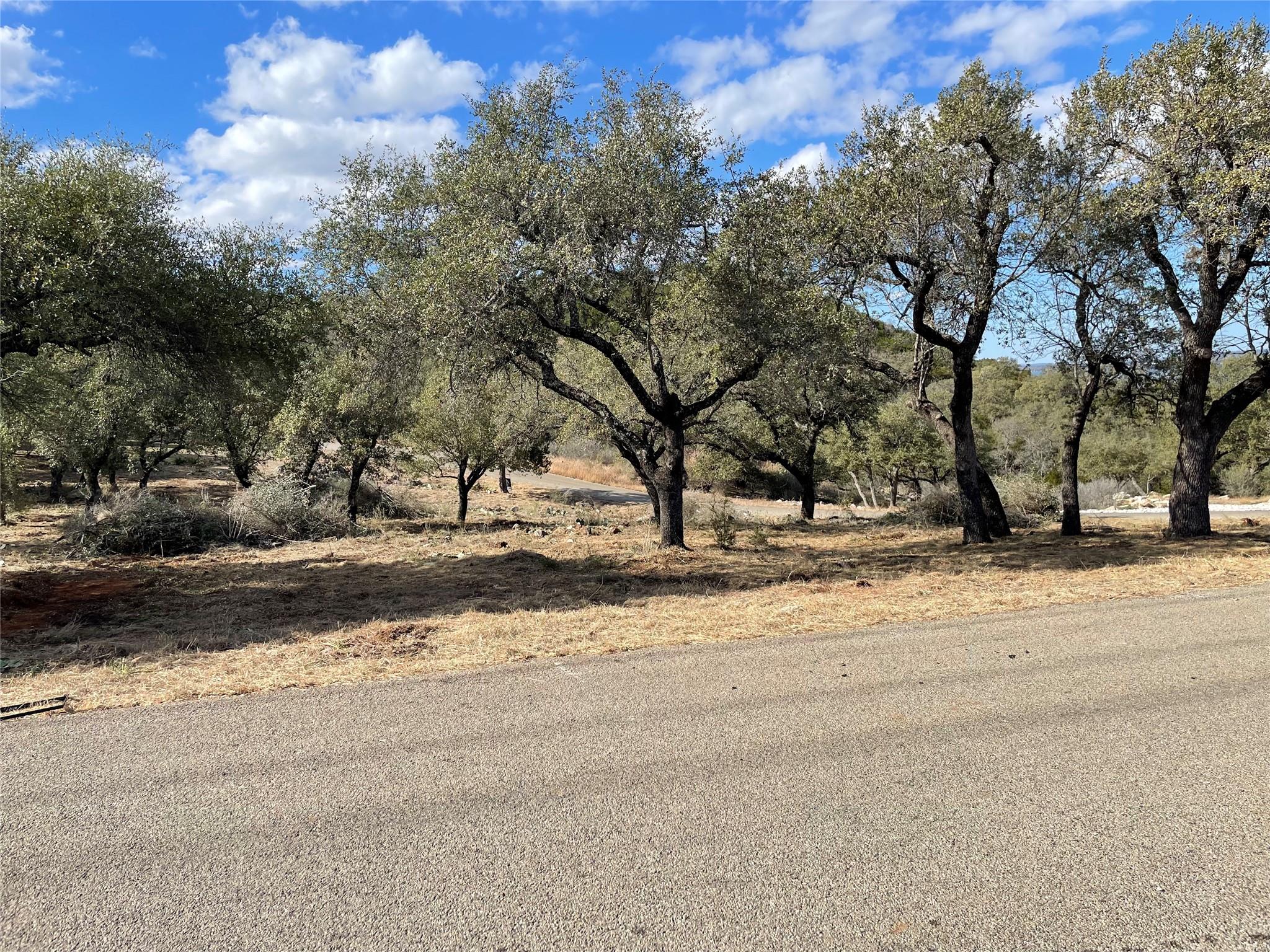 Lot 33 & Lot 34 Prince Peak Street Cottonwood Shores TX 78657