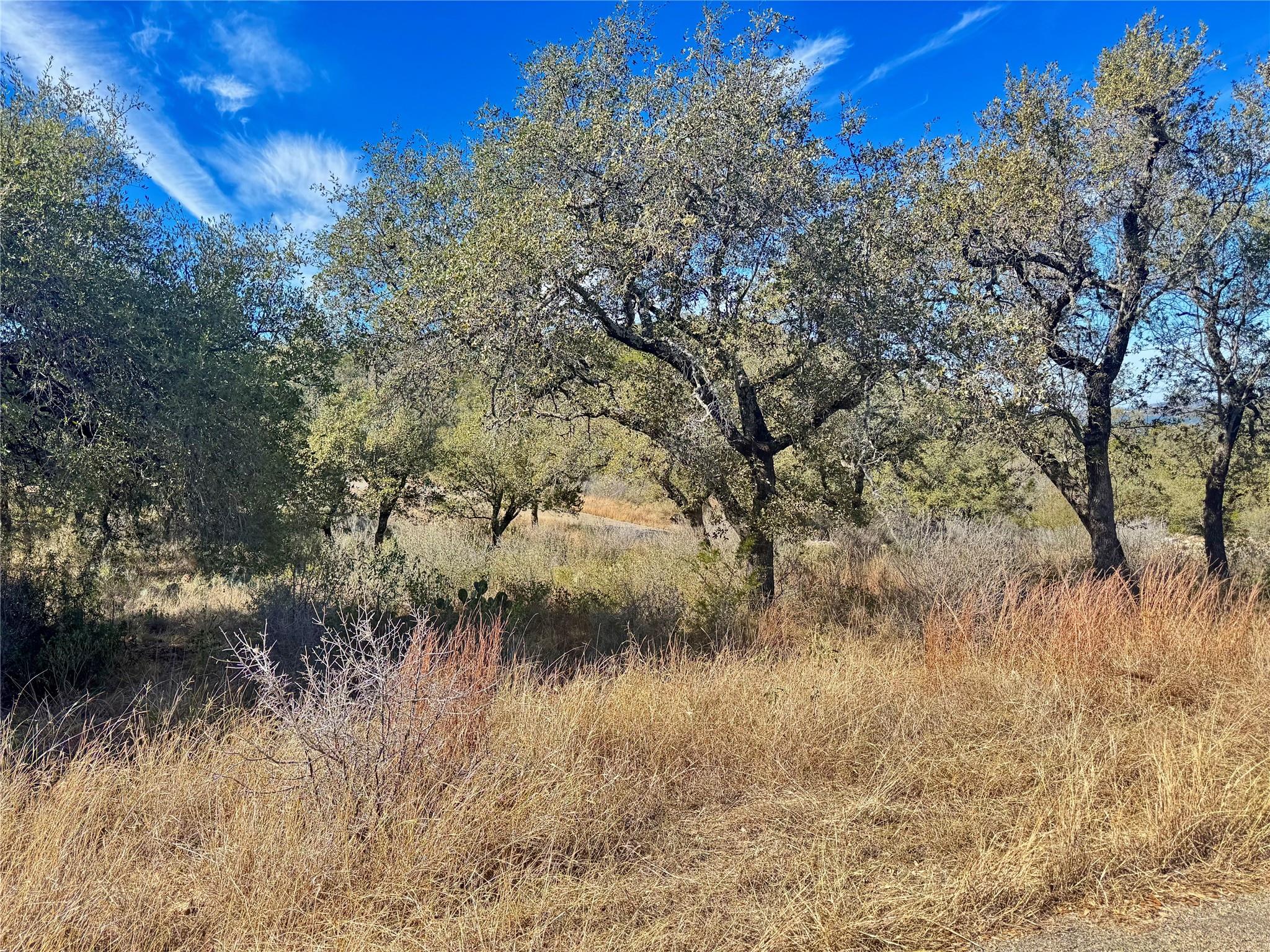 Lot 33 & Lot 34 Prince Peak Street Cottonwood Shores TX 78657