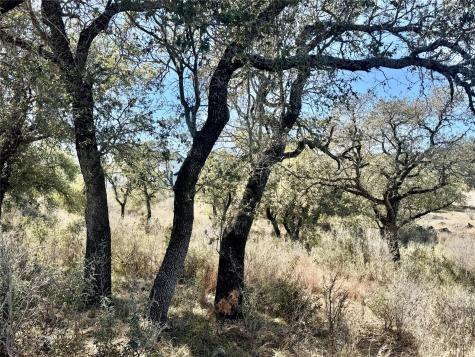 Lot 33 & Lot 34 Prince Peak Street Cottonwood Shores TX 78657