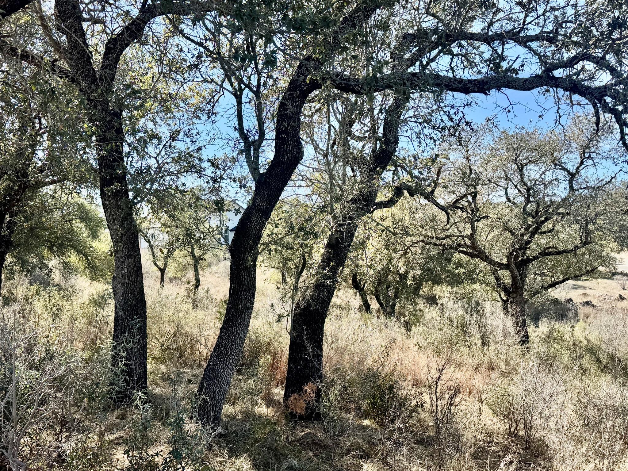 Lot 33 & Lot 34 Prince Peak Street Cottonwood Shores TX 78657