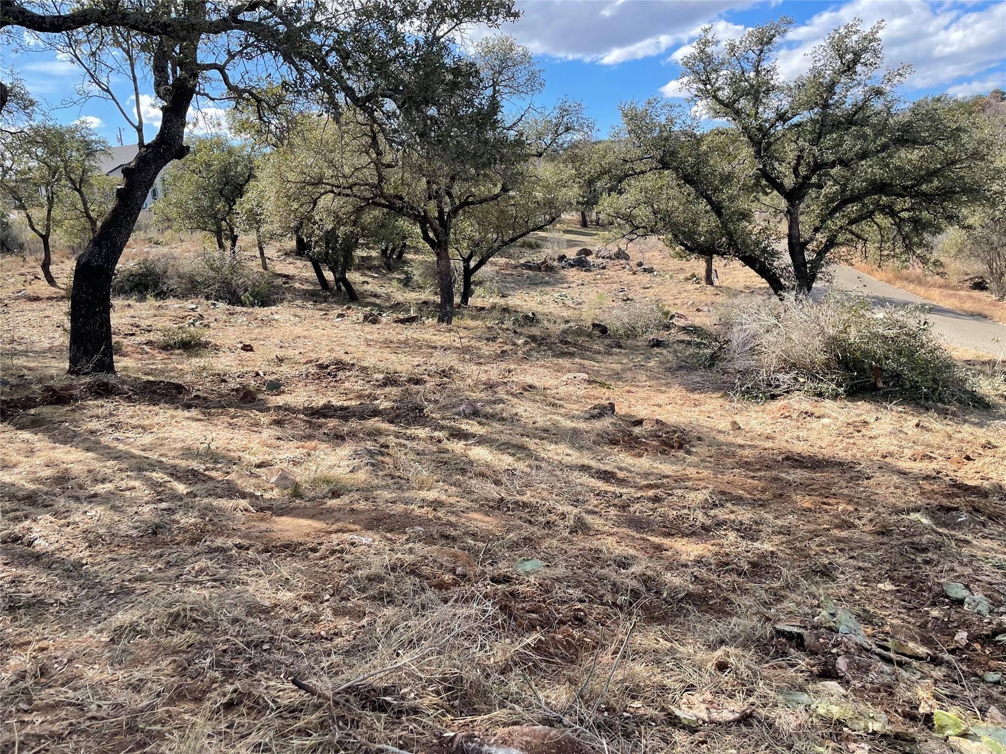 Lot 33 & Lot 34 Prince Peak Street Cottonwood Shores TX 78657