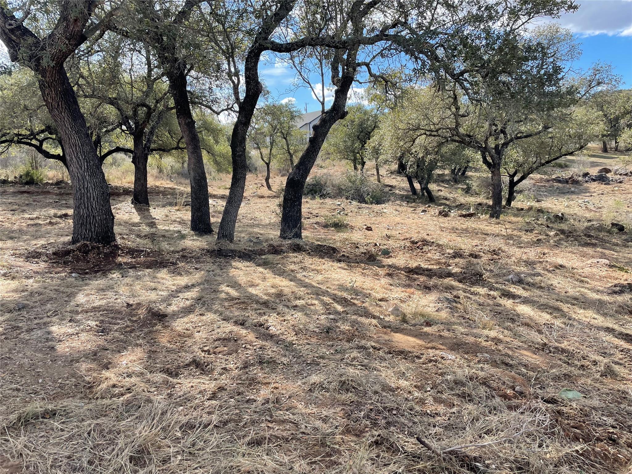 Lot 33 & Lot 34 Prince Peak Street Cottonwood Shores TX 78657