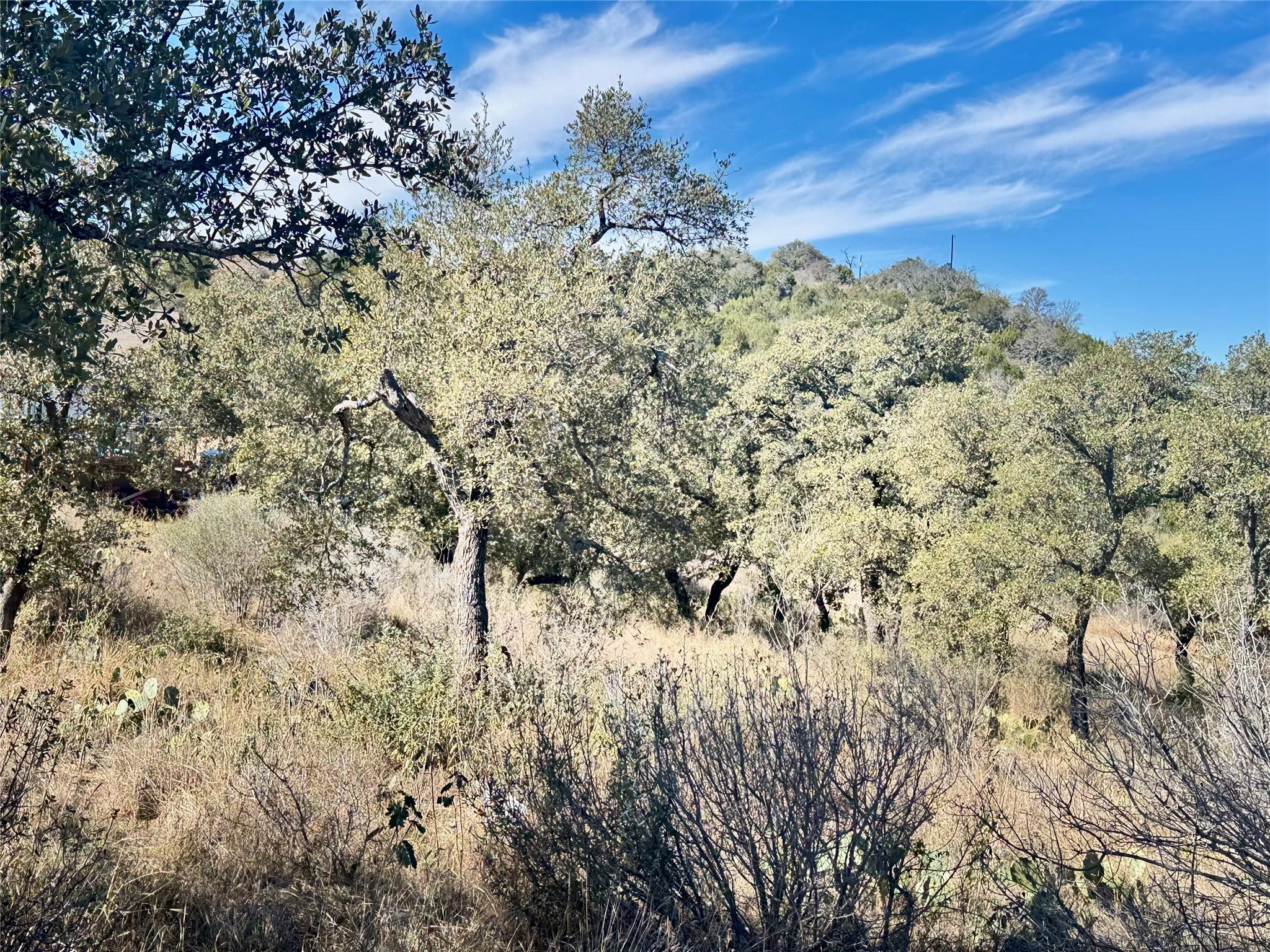 Lot 33 & Lot 34 Prince Peak Street Cottonwood Shores TX 78657