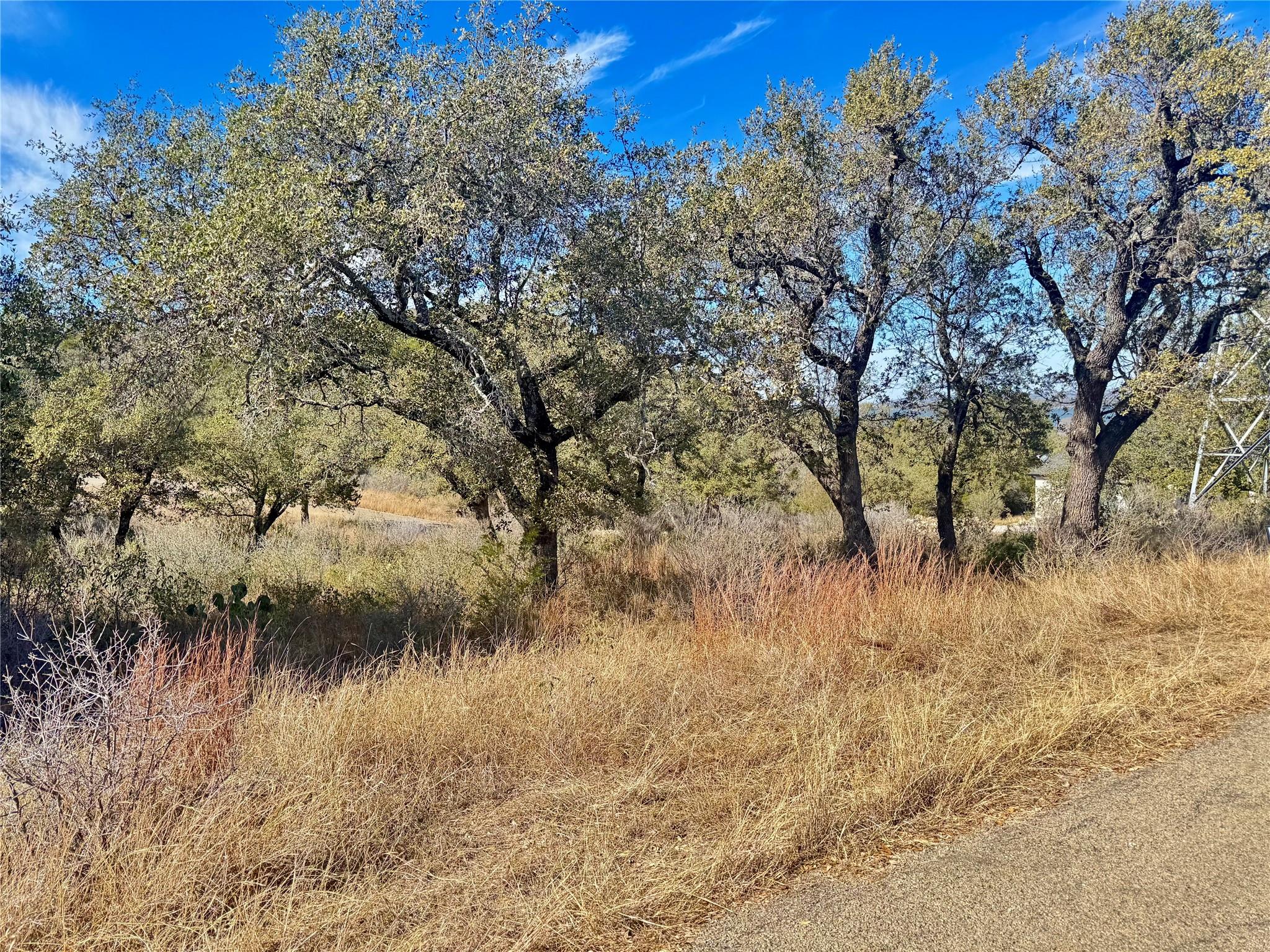Lot 33 & Lot 34 Prince Peak Street Cottonwood Shores TX 78657