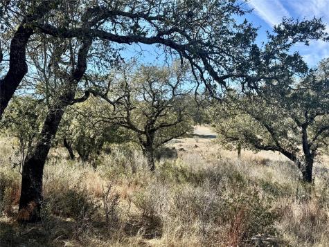Lot 33 & Lot 34 Prince Peak Street Cottonwood Shores TX 78657