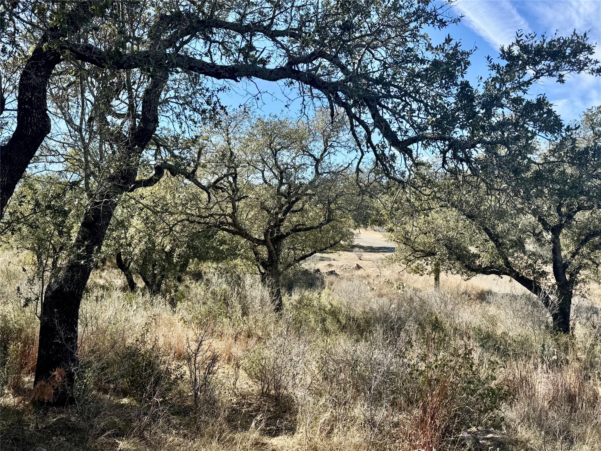 Lot 33 & Lot 34 Prince Peak Street Cottonwood Shores TX 78657