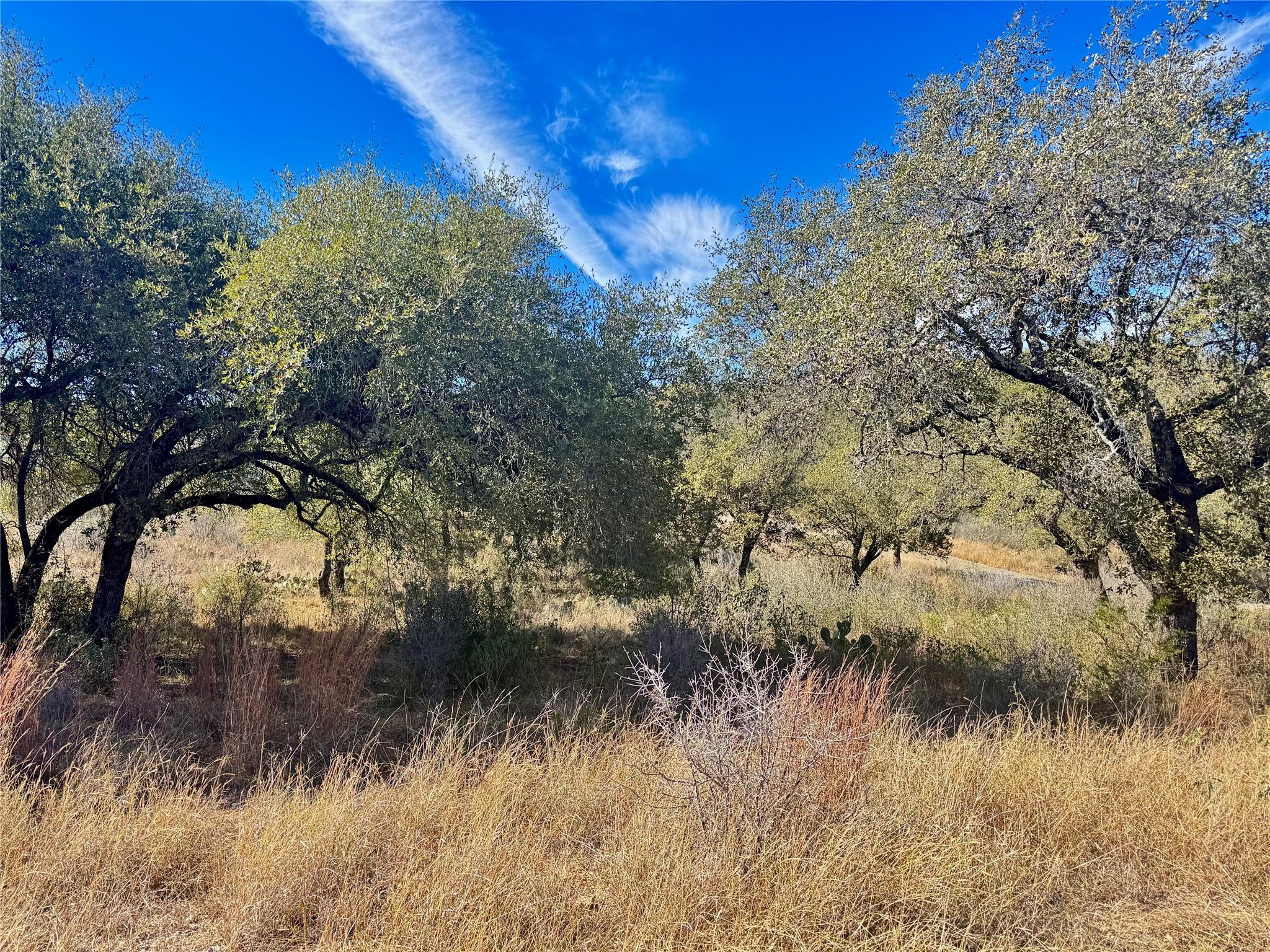 Lot 33 & Lot 34 Prince Peak Street Cottonwood Shores TX 78657
