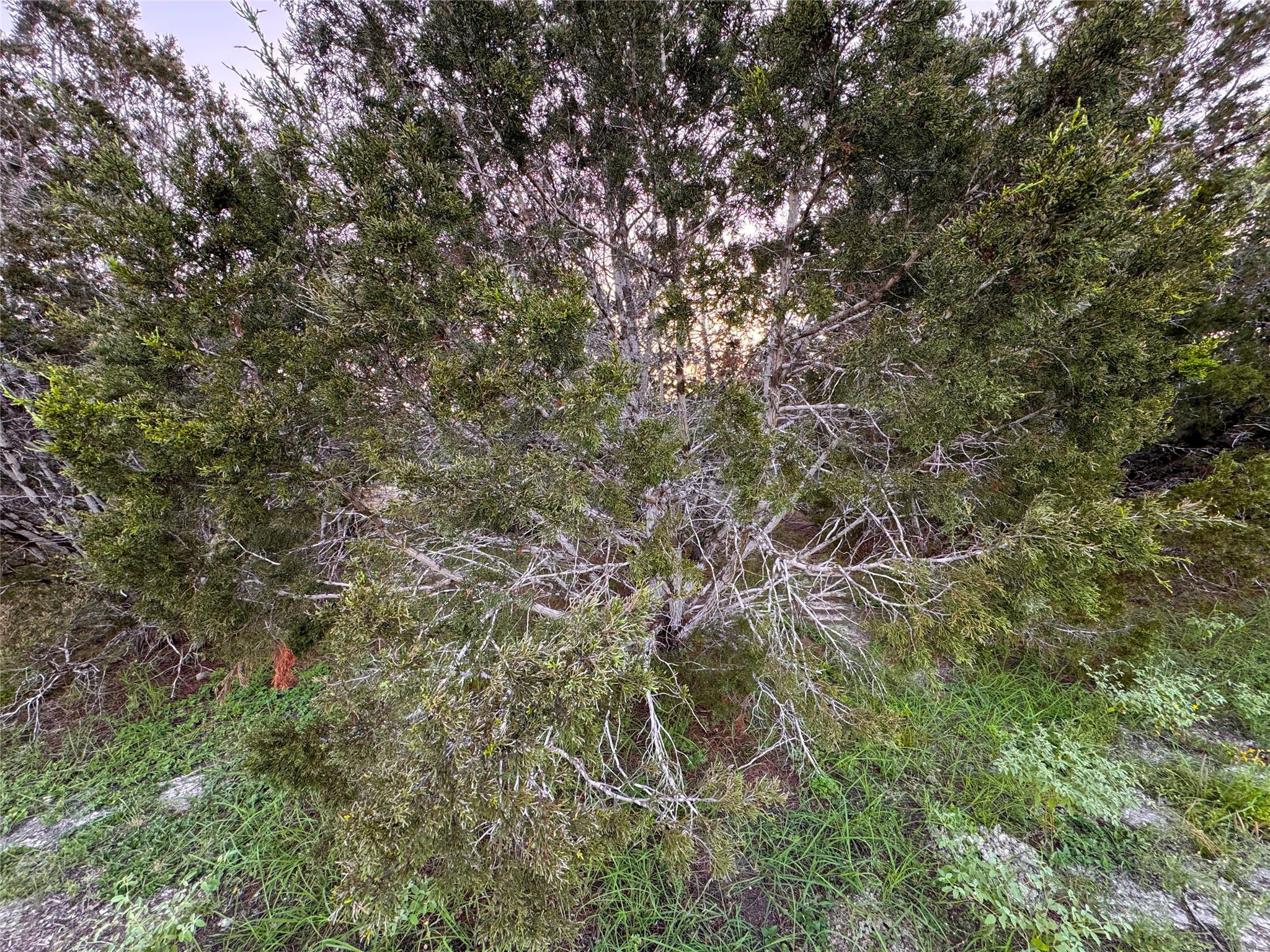 1001 Oblate Drive Canyon Lake TX 78133