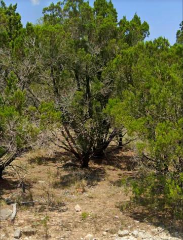 1001 Oblate Drive Canyon Lake TX 78133