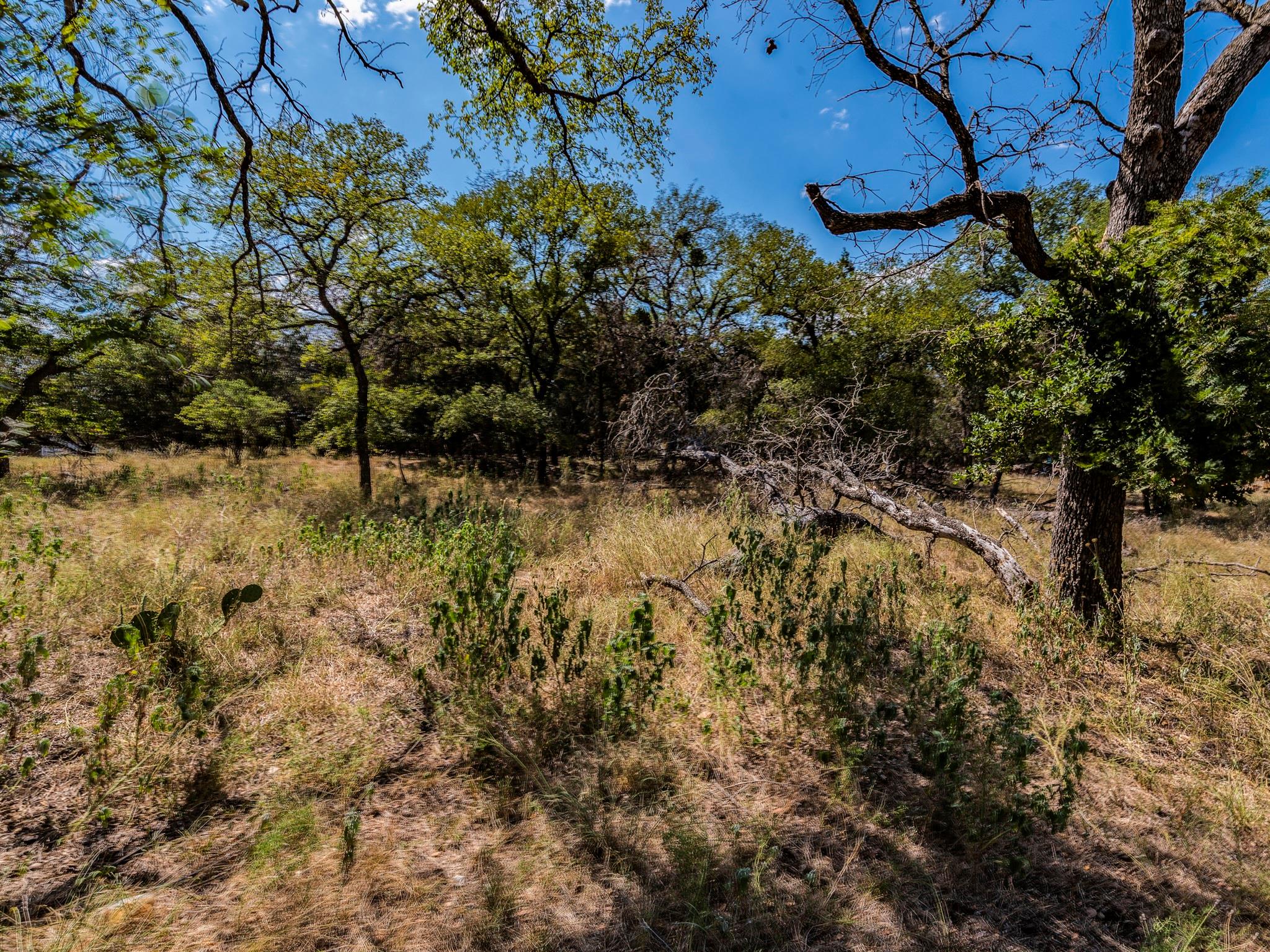 1303 Robin Trail Lago Vista TX 78645
