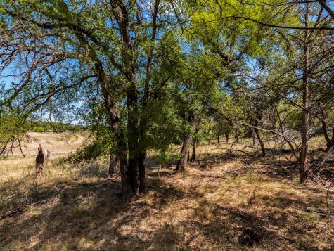 1303 Robin Trail Lago Vista TX 78645