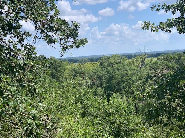 107 & 113 Mccarthy Drive Bastrop TX 78602