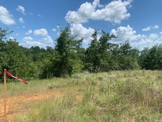 107 & 113 Mccarthy Drive Bastrop TX 78602