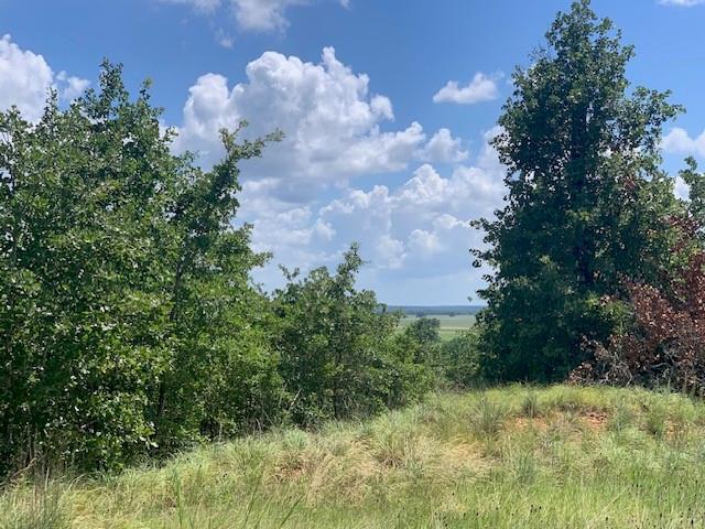 107 & 113 Mccarthy Drive Bastrop TX 78602