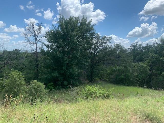107 & 113 Mccarthy Drive Bastrop TX 78602