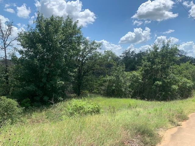 107 & 113 Mccarthy Drive Bastrop TX 78602