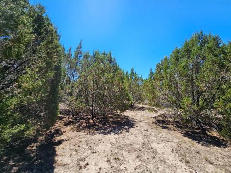 Lot 25 Alta Vista Drive Lampasas TX 76550