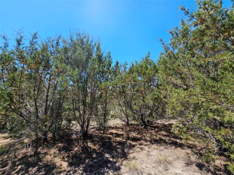 Lot 25 Alta Vista Drive Lampasas TX 76550