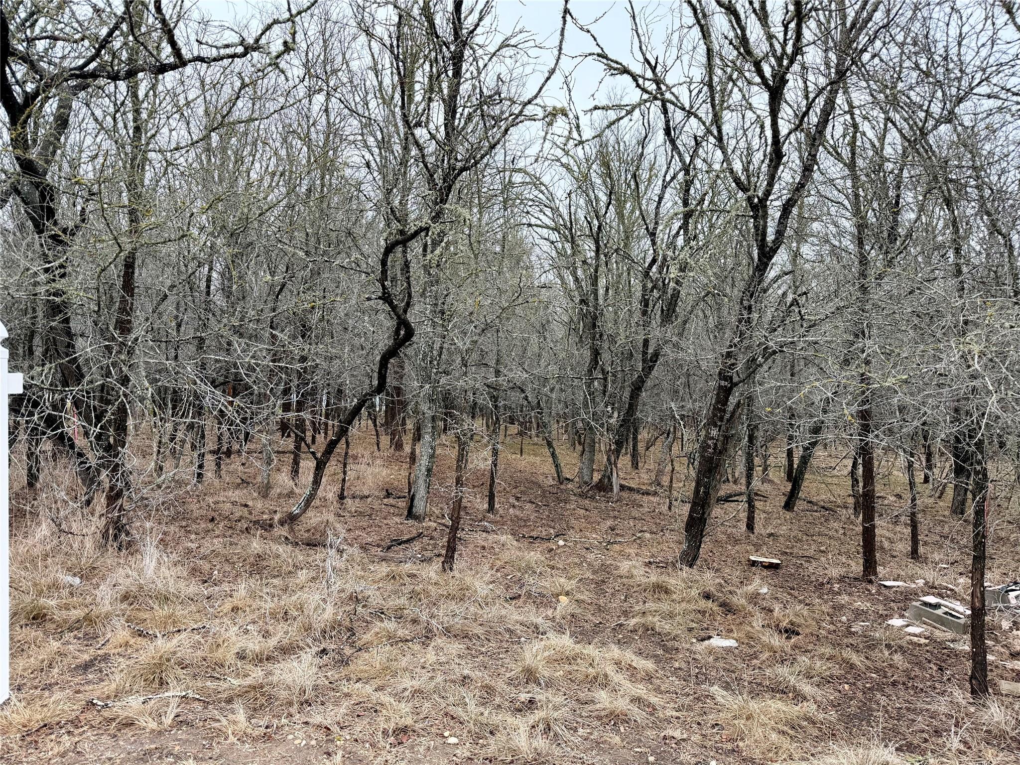 140 W Pauwela Lane Bastrop TX 78602