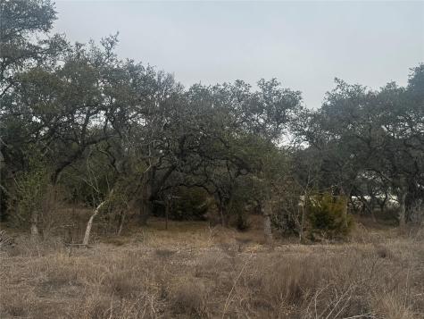 676 Annabelle Avenue Bulverde TX 78163