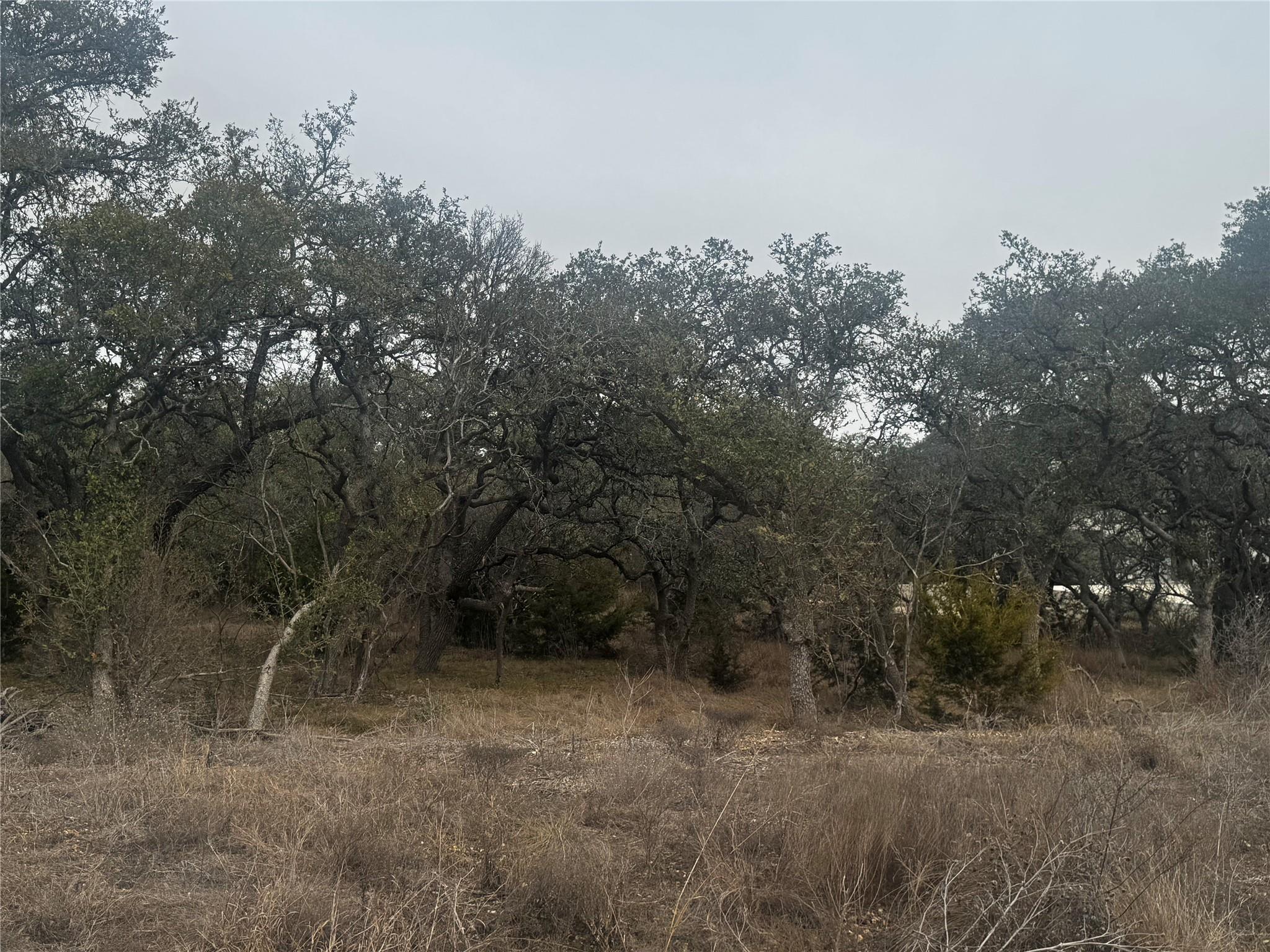 676 Annabelle Avenue Bulverde TX 78163