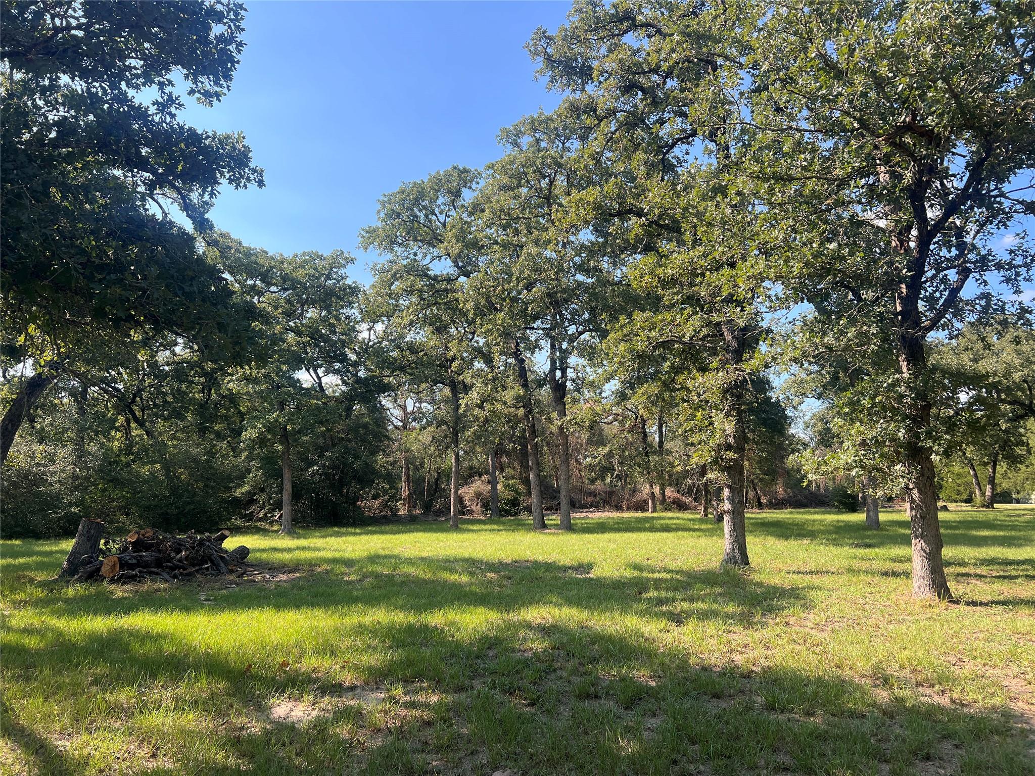 1.921 Ac Cardinal Road Caldwell TX 77836