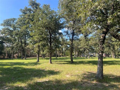 1.921 Ac Cardinal Road Caldwell TX 77836