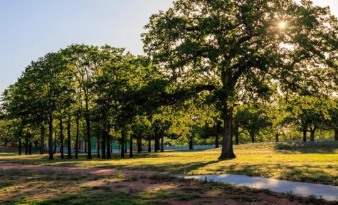 102 Baurenhof Court Fredericksburg TX 78624